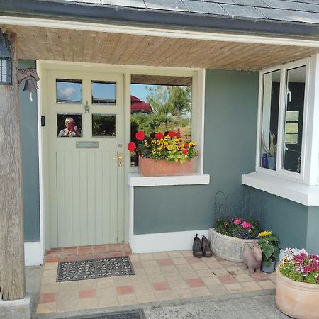 Gasthaus Dromelihy House Stud Doonbeg Exterior foto