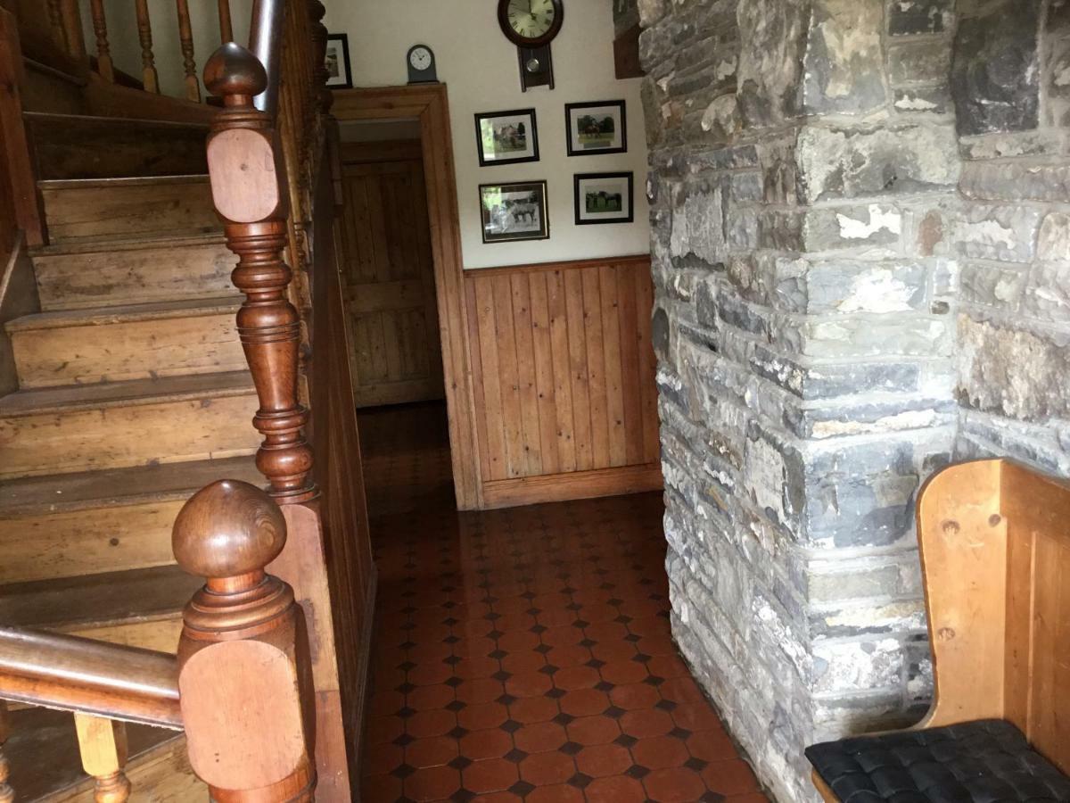 Gasthaus Dromelihy House Stud Doonbeg Exterior foto